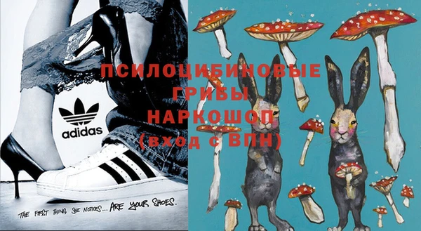 jwh Аркадак