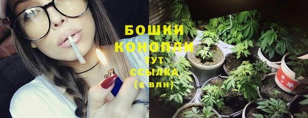 прущий лед Армянск